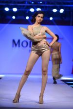 Model walk the ramp for Modart fashion show and Lingerie show on 5th may 2015 (34)_5549fc1262e03.JPG