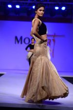 Model walk the ramp for Modart fashion show and Lingerie show on 5th may 2015 (351)_5549fade4fe96.JPG