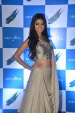 at Grey Goose Cabana Couture launch in Asilo on 8th May 2015 (100)_554e02588fab5.JPG