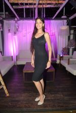 at Grey Goose Cabana Couture launch in Asilo on 8th May 2015 (149)_554e0275af356.JPG