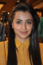 Trisha (12)_5562ef8bdc829.jpg