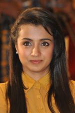 Trisha (38)_5562efaab153b.jpg