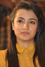 Trisha (42)_5562efb02f23c.jpg