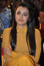 Trisha (45)_5562efb4790d9.jpg