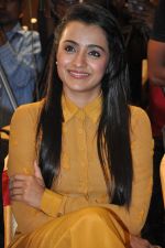 Trisha (46)_5562efb5750cb.jpg