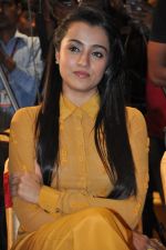 Trisha (50)_5562efb9dd183.jpg