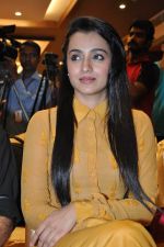 Trisha (65)_5562efcdaf5d0.jpg