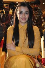 Trisha (84)_5562efe23e079.jpg