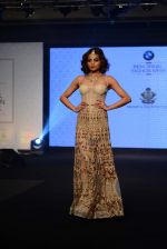 Model walks for bmw india bridal week preview in delhi on 28th May 2015 (1026)_55684a21bc1ea.JPG