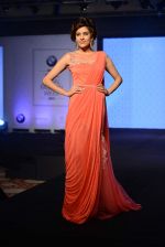 Model walks for bmw india bridal week preview in delhi on 28th May 2015 (1053)_55684a38af5fe.JPG
