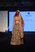 Model walks for bmw india bridal week preview in delhi on 28th May 2015 (1102)_55684a600c3dc.JPG