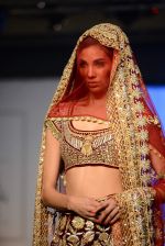 Model walks for bmw india bridal week preview in delhi on 28th May 2015 (1110)_55684a66efd89.JPG