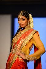 Model walks for bmw india bridal week preview in delhi on 28th May 2015 (919)_556849cb604be.JPG