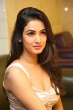 Sonal Chauhan Photoshoot on 1st june 2015 (51)_556d74ca15506.jpg