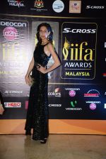 at Dil Dhadakne Do premiere at IIFA Awards on 6th June 2015 (47)_557427f15a288.JPG