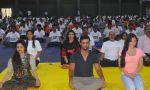 Madhoo, swimmer Rehan Poncha and actor Eli Evram celebrating  International Yoga Day by Kaivalyadham_5586e7ce83455.jpg