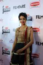 62nd Filmfare south awards (177)_55922d190dc76.jpg