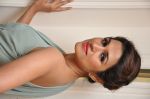 Shraddha Das Photo Shoot on 1st july 2015(91)_5594d75164de6.jpg