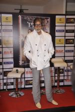 Amitabh Bachchan at Piku dvd launch in Mumbai on 8th July 2015 (8)_559e84bacee84.JPG
