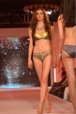 Model at Madhur_s Calendar Girls launch with Amante lingerie show in Four Seasons on 17th July 2015 (106)_55aa35c79b0f4.JPG