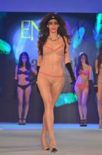 Model at Madhur_s Calendar Girls launch with Amante lingerie show in Four Seasons on 17th July 2015 (43)_55aa3596563b4.JPG