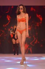 Model at Madhur_s Calendar Girls launch with Amante lingerie show in Four Seasons on 17th July 2015 (79)_55aa35b274cab.JPG