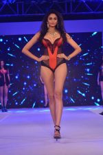 Model at Madhur_s Calendar Girls launch with Amante lingerie show in Four Seasons on 17th July 2015 (86)_55aa35b7c8100.JPG