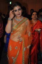 Raveena Tandon at TSR Tv9 national film awards on 18th July 2015 (319)_55acddd4dfcac.jpg