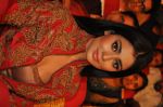 Shriya Saran (17)_55ad03016d9bf.jpg