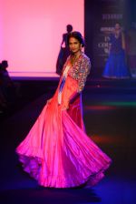 Model walk for Debarun Show at India Couture Week 2015 on 1st Aug 2015  (49)_55be1578ade7f.JPG