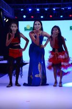 at Smile Foundations Fashion Show Ramp for Champs, a fashion show for education of underpriveledged children on 2nd Aug 2015 (32)_55bf1c6b00bf8.JPG