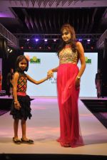 at Smile Foundations Fashion Show Ramp for Champs, a fashion show for education of underpriveledged children on 2nd Aug 2015(114)_55bf1adc1c843.JPG