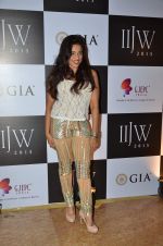 on Day 1 at IIJW 2015 on 3rd Aug 2015 (159)_55c07c3553566.JPG
