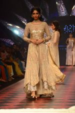 Model walk the ramp for IIJW 2015 Day 3 on 5th Aug 2015 (171)_55c320d369588.JPG