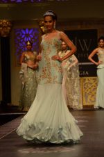 Model walk the ramp for Shyamal bhumika Grand Finale Show at IIJW 2015 on 6th Aug 2015 (16)_55c463356a265.JPG