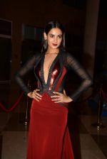 Sonal Chauhan at Micromax SIIMA AWARDS 2015 RED CARPET DAY2 on 6th Aug 2015 (227)_55c469a036914.JPG