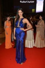 at Micromax SIIMA AWARDS 2015 RED CARPET DAY2 on 6th Aug 2015 (111)_55c46957578e8.JPG