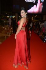 at Micromax SIIMA AWARDS 2015 RED CARPET DAY2 on 6th Aug 2015 (153)_55c46976309d2.JPG