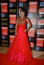 at Micromax SIIMA AWARDS 2015 RED CARPET DAY2 on 6th Aug 2015 (158)_55c4697b9add9.JPG