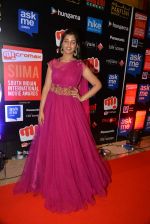 at Micromax SIIMA AWARDS 2015 RED CARPET DAY2 on 6th Aug 2015 (256)_55c469b26a056.JPG