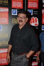 at Micromax SIIMA AWARDS 2015 RED CARPET DAY2 on 6th Aug 2015 (65)_55c46924943d5.JPG