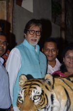 Amitabh bachchan at save the Tiger campaign in Juhu on 11th Aug 2015 (18)_55caf7832d024.JPG