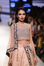 Model walk the ramp for Payal Singhal Show on day 1 of LIFW on 26th Aug 2015 (106)_55ded2679327e.JPG