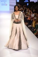Model walk the ramp for Payal Singhal Show on day 1 of LIFW on 26th Aug 2015 (70)_55ded2316ecb1.JPG