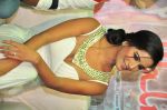 Poonam Pandey ... (14)_55deb2c06f652.jpg