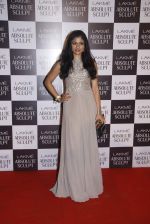 at the grand finale of Lakme Fashion Week 2015 on 30th Aug 2015 (209)_55e4070034892.JPG