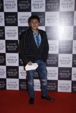 at the grand finale of Lakme Fashion Week 2015 on 30th Aug 2015 (218)_55e4070cc5d31.JPG