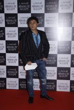 at the grand finale of Lakme Fashion Week 2015 on 30th Aug 2015 (219)_55e4070d8ebb5.JPG