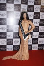 at the grand finale of Lakme Fashion Week 2015 on 30th Aug 2015 (66)_55e406bf8052e.JPG