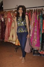 at Designer Pallavi Jaikishan_s fashion preview in Orient Express on 9th Sept 2015 (15)_55f1550532108.JPG